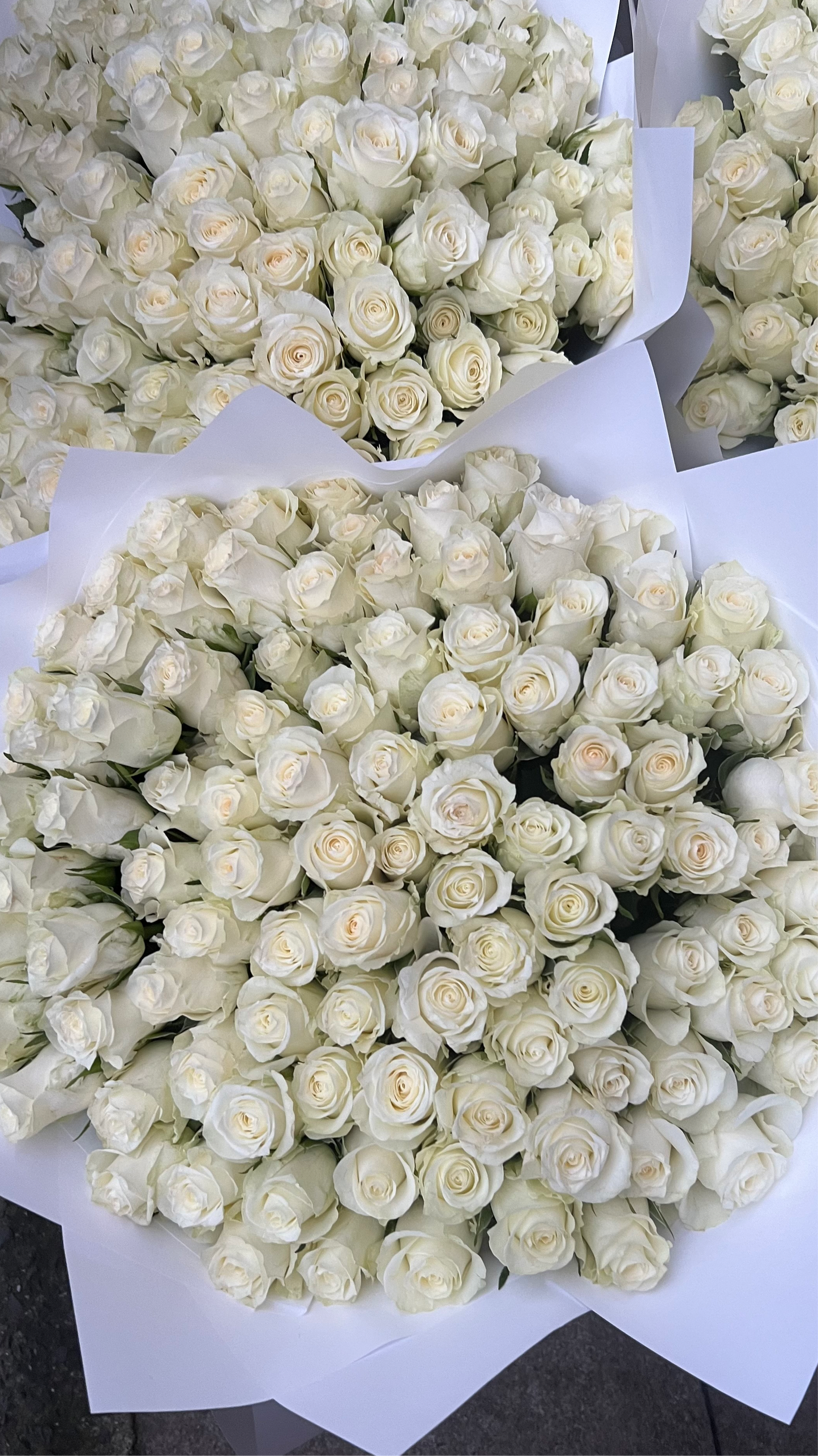 100 White Rose Bouquet