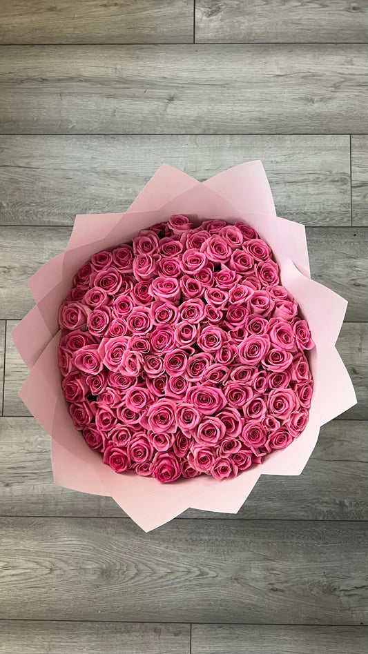 100 pink aqua roses